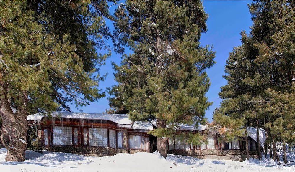 Senator Pine N Peak Hotel Pahalgam Exterior photo